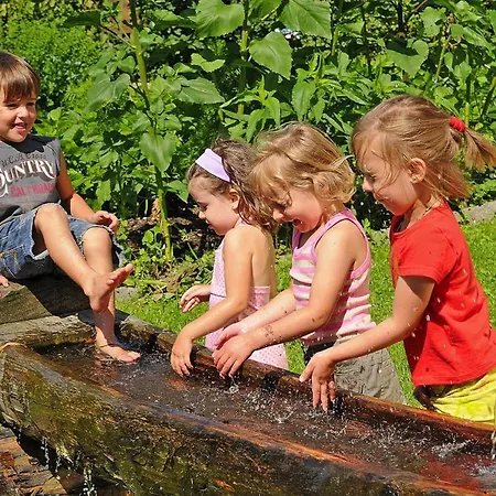 In With A Shared Outdoor Pool Radstadt